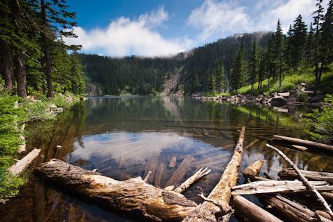 A cove with water surrounded by trees and hills, fishing in California concept.