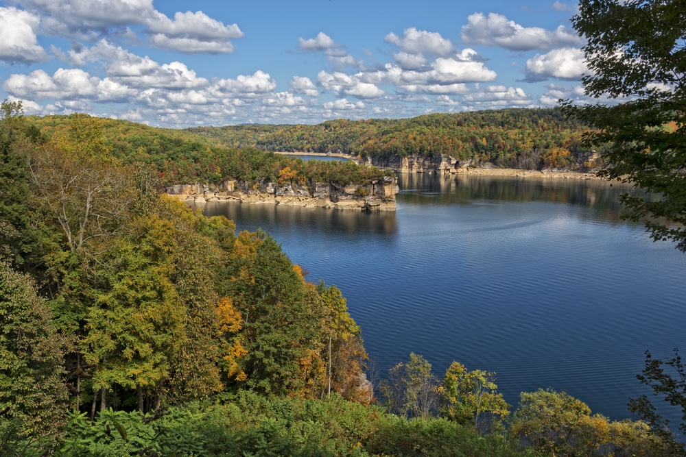 Overhead look at a lake surrounded by trees, where to go fishing in Virginia concept.