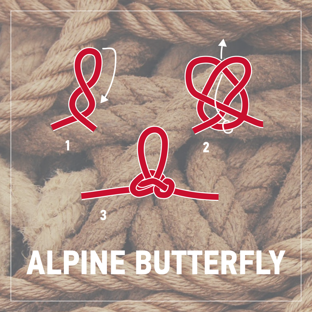 Illustration of alpine butterfly the nautical knot