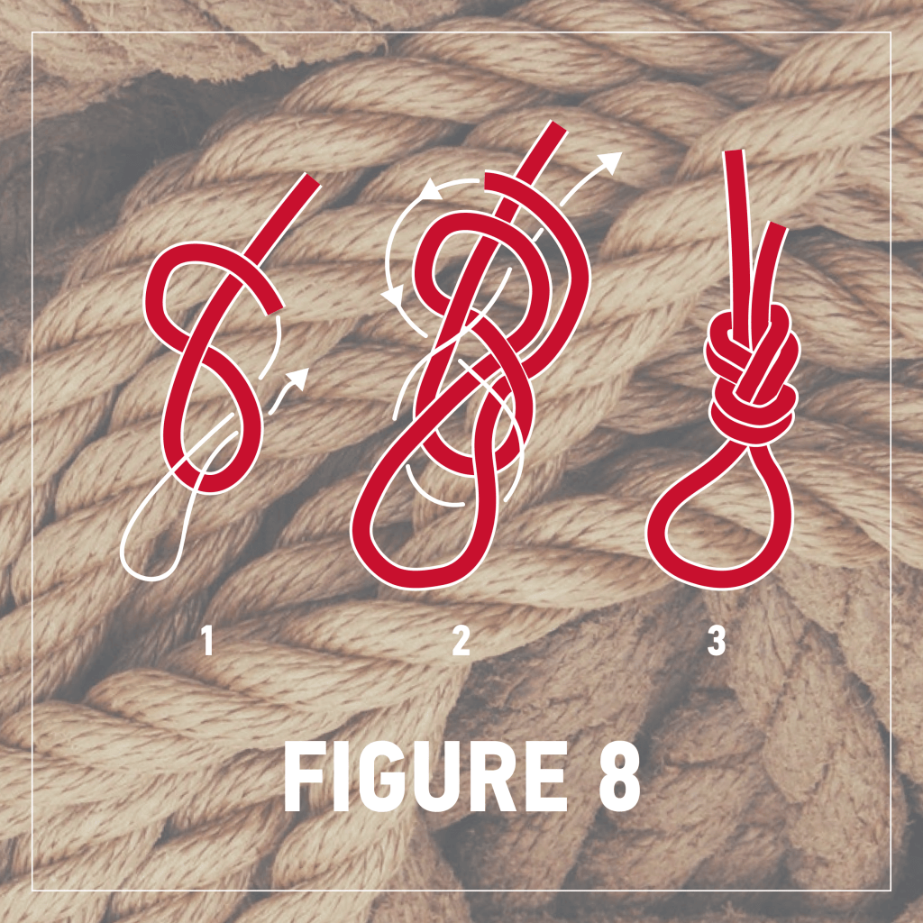 Illustration of nautical knots figure eight