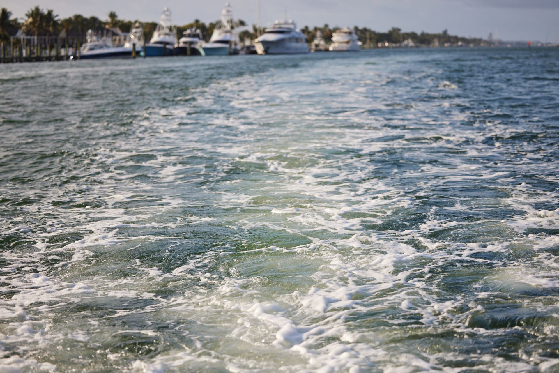 A wake behind a boat, watching for manatees concept.