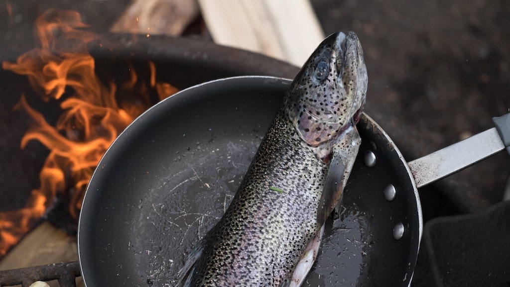 A fish cooking in a pan over a fire, nautical adventures concept.