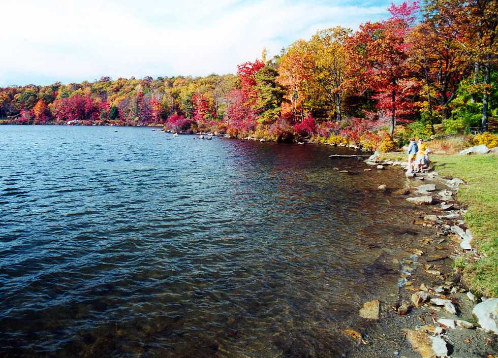 Two people standing on the side of a lake near fall trees, Delaware