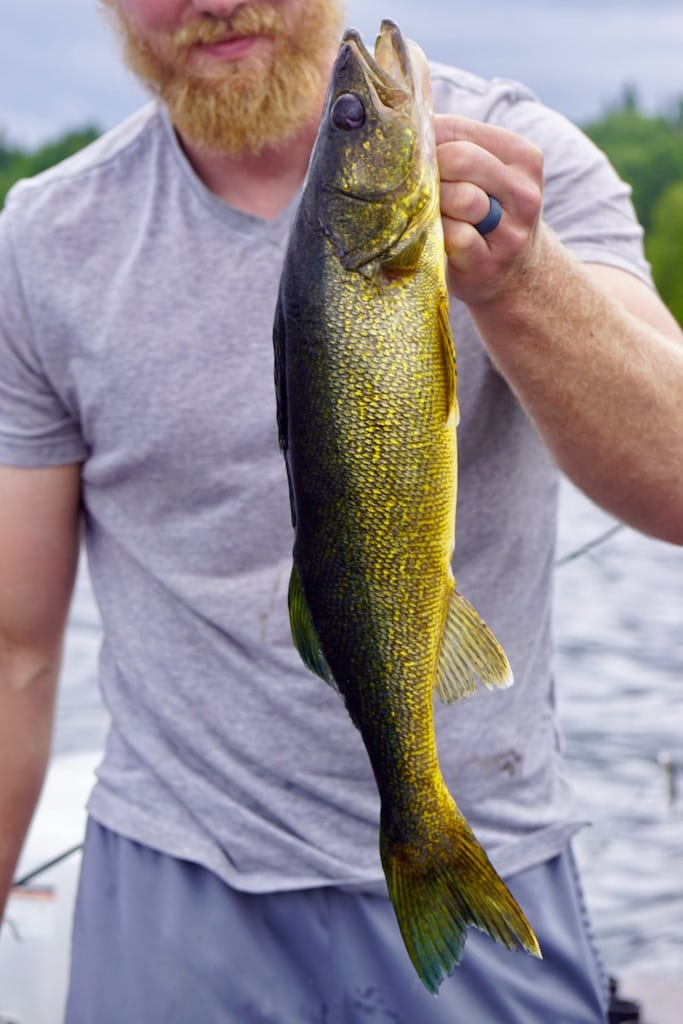 Close-up of a fish held up by an angler during a fishing trip.