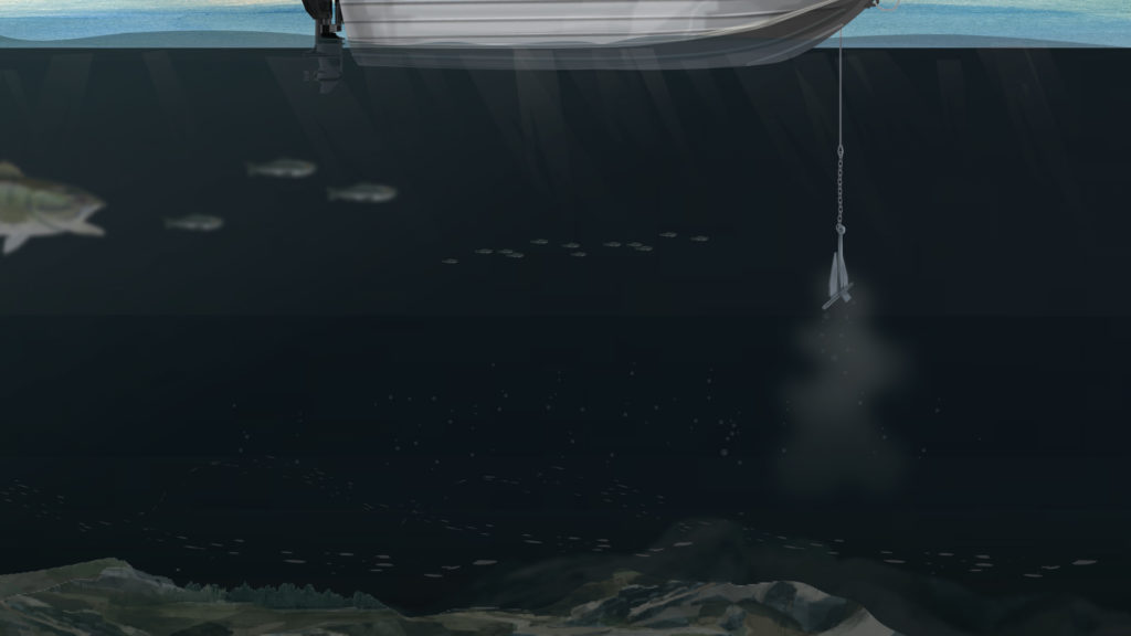 An illustration of anchoring a boat, learning through the California boating safety course concept.