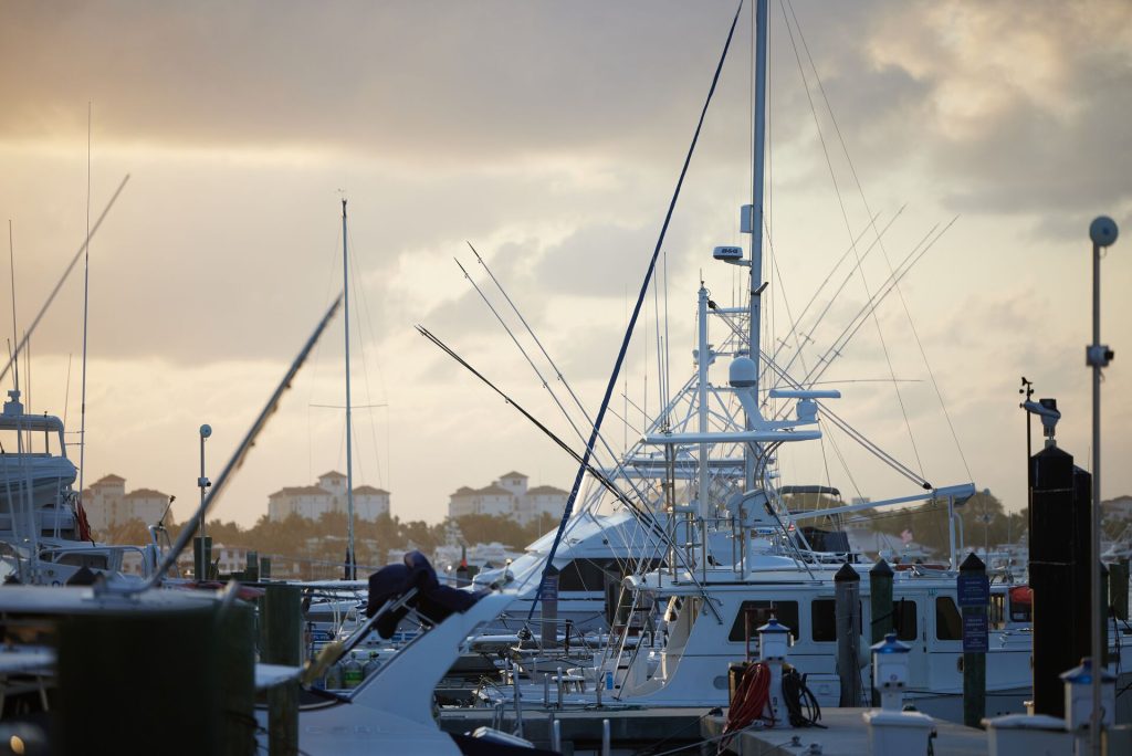 Boats at a marina.