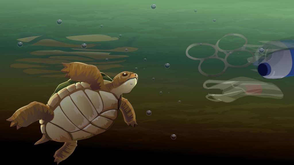 marine environment
