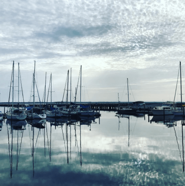 Black and white image of a Florida coast marine, with boats docked in the water. 