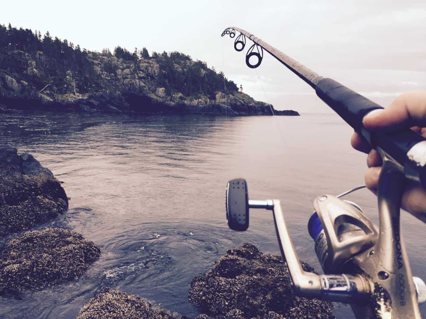 A fishing rod over the water near shore. 
