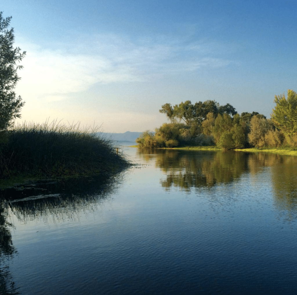 Picture of Clear Lake - boating in california