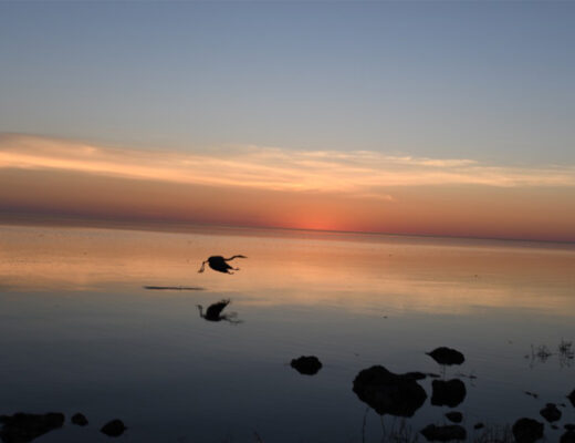 Lake Okeechobee Sunset